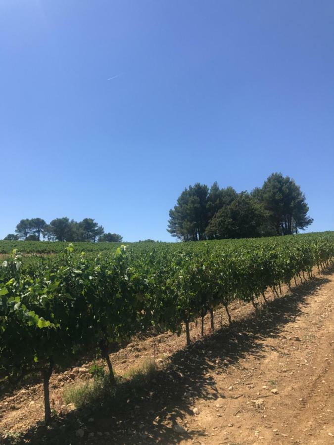 Bastide Bellugue Maison D'Hotes Reseau Bienvenue A La Ferme A 3 Minutes De Lourmarin Кадене Екстер'єр фото