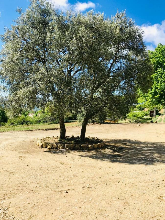Bastide Bellugue Maison D'Hotes Reseau Bienvenue A La Ferme A 3 Minutes De Lourmarin Кадене Екстер'єр фото